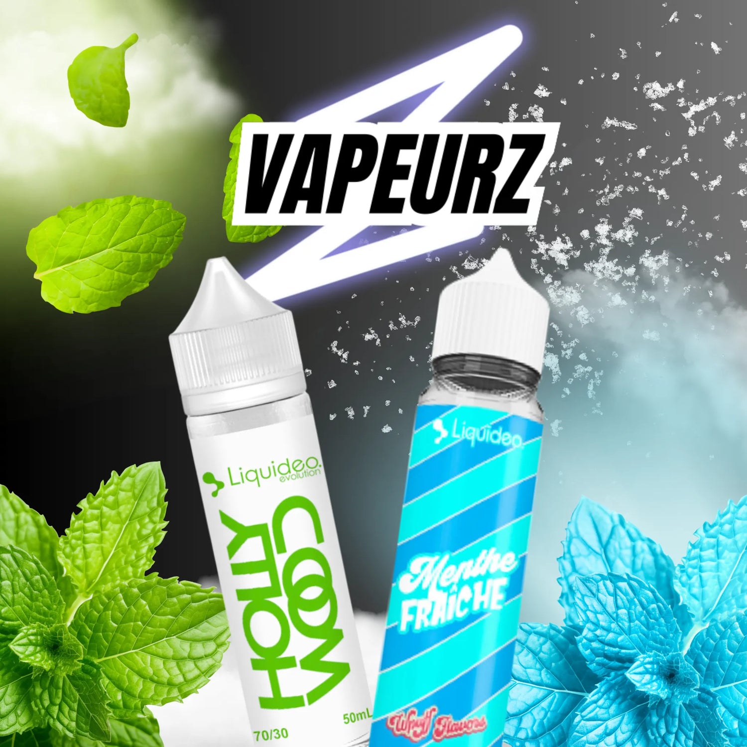 E-liquides menthes 50ml à booster aux arômes menthol et chlorophylle, offrant une fraîcheur intense pour une vape rafraichissante et tonique