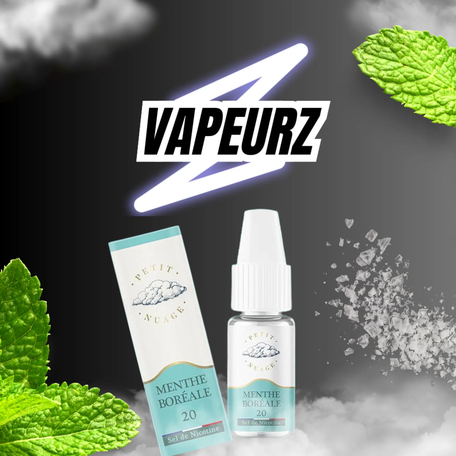 Flacon de 10 ml d’e-liquides menthes au sel de nicotine, fraîcheur intense, pour cigarette électronique