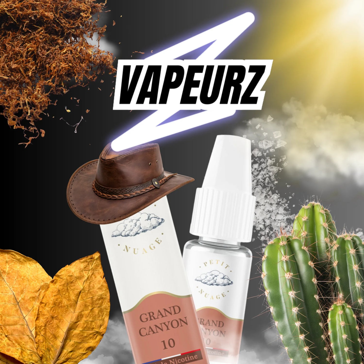 E-liquides classics tabac aux sels de nicotine 10ml – saveurs blond, brun, RY4 et mentholé pour cigarette électronique