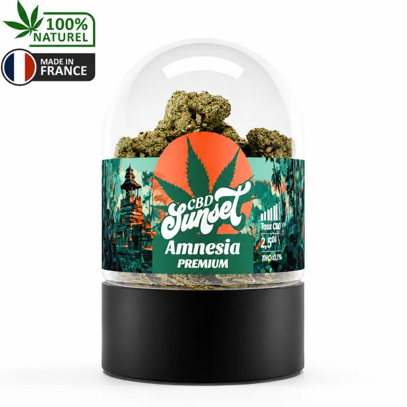 Fleur CBD Amnesia Premium 2,5 g CBD Sunset cultivée en France en Glass House avec taux de THC inférieur à 0,3 %