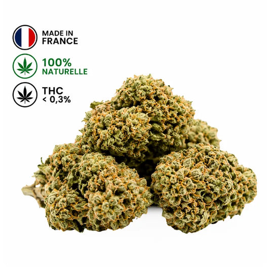 Fleur CBD Amnesia Premium 2,5 g CBD Sunset cultivée en France en Glass House avec fleurs de chanvre naturelles et THC inférieur à 0,3 %