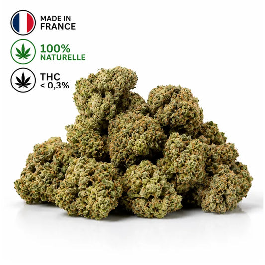 Tas de fleurs CBD Mango Kush Premium Sunset cbd, cultivées en France, 100 % naturelles, avec un taux de THC inférieur à 0,3 %.